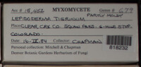 Image Associated With the Occurence